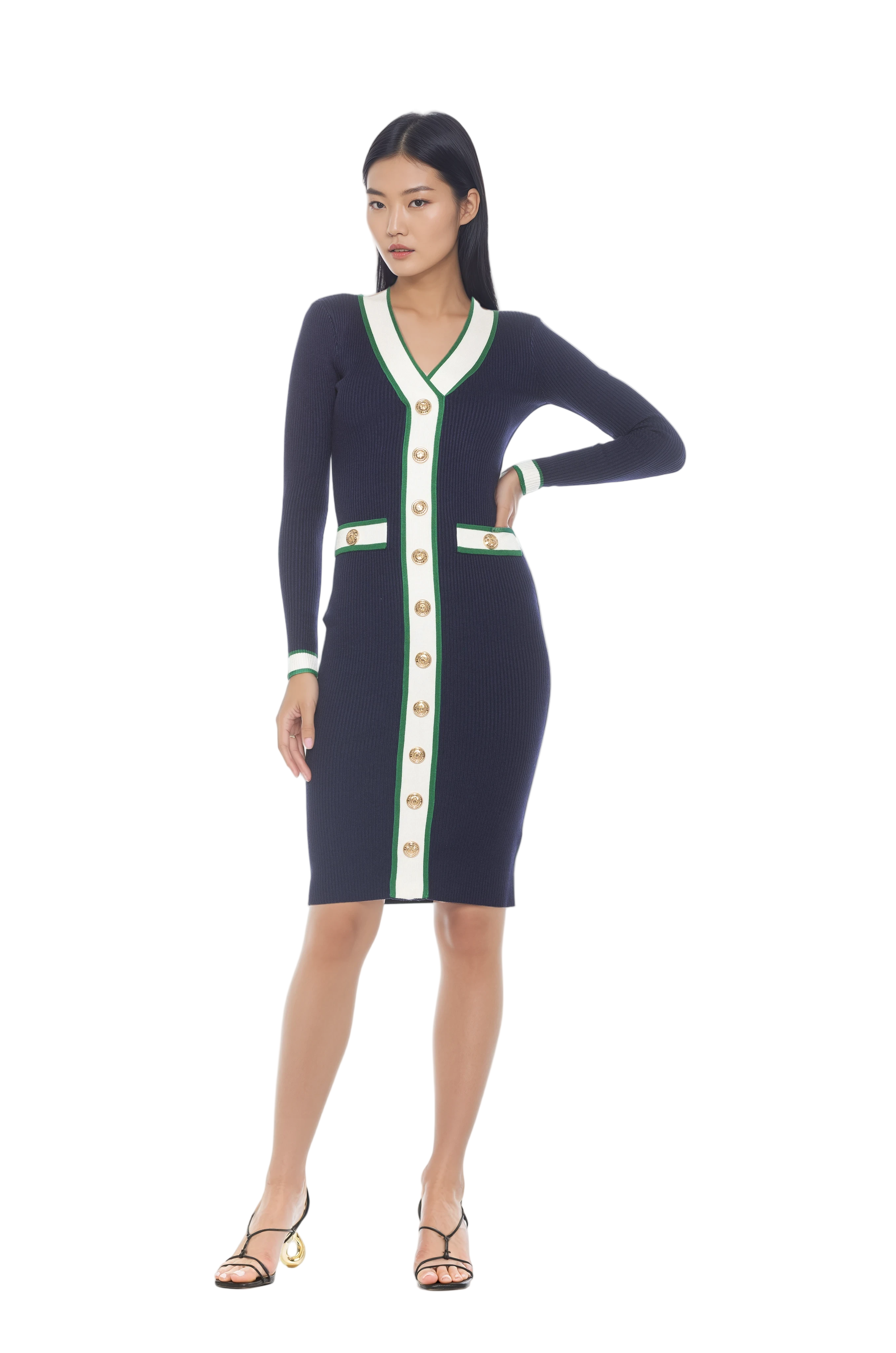 Front view navy v-neck knit dress, long sleeves, contrast ivory and green trim with gold button detailing.
