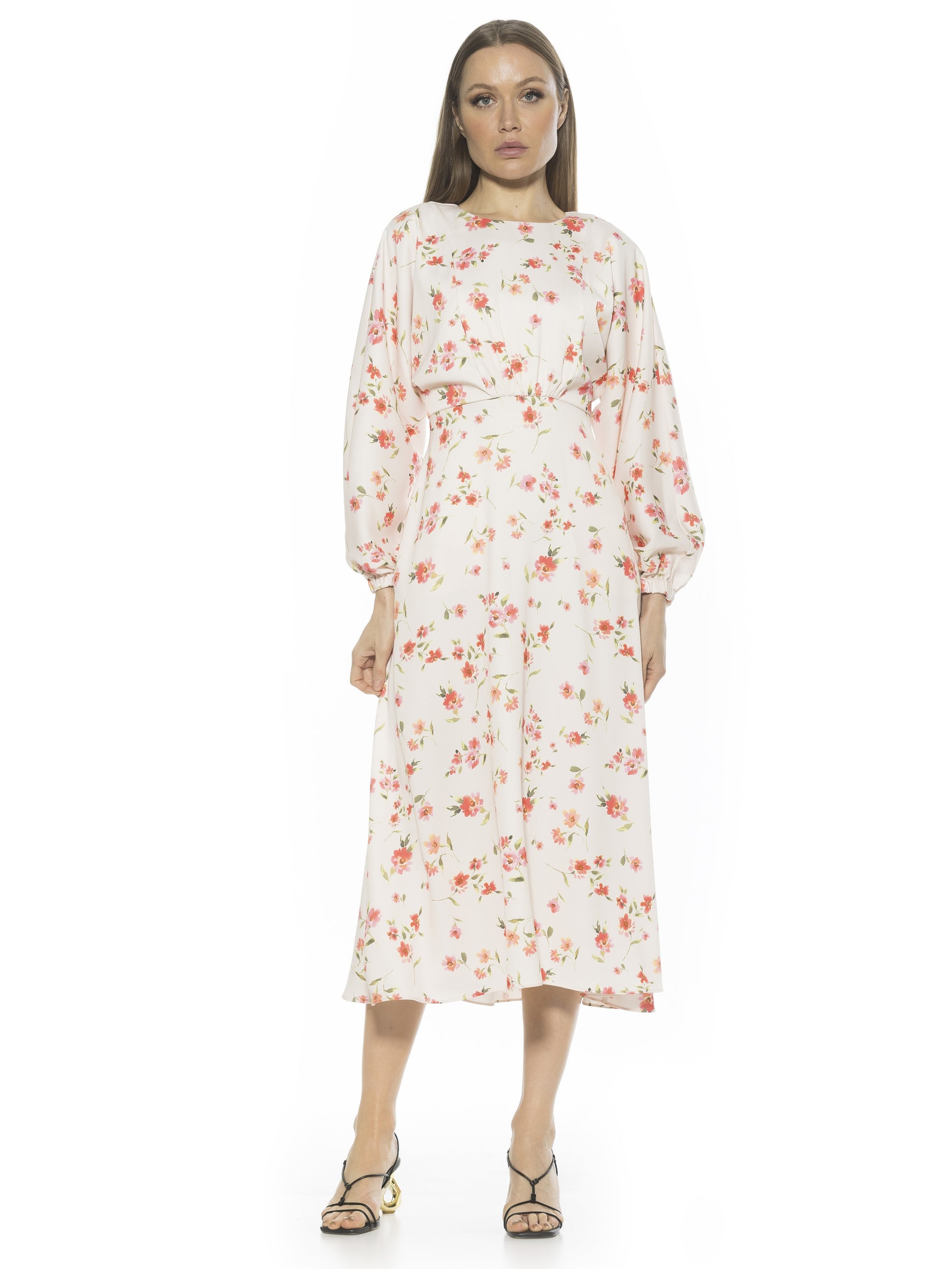 Alexia Admor Women's Constance Fit and Flare Dress, 12