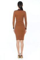 Back view camel v-neck knit dress, long sleeves, contrast black and red trim.