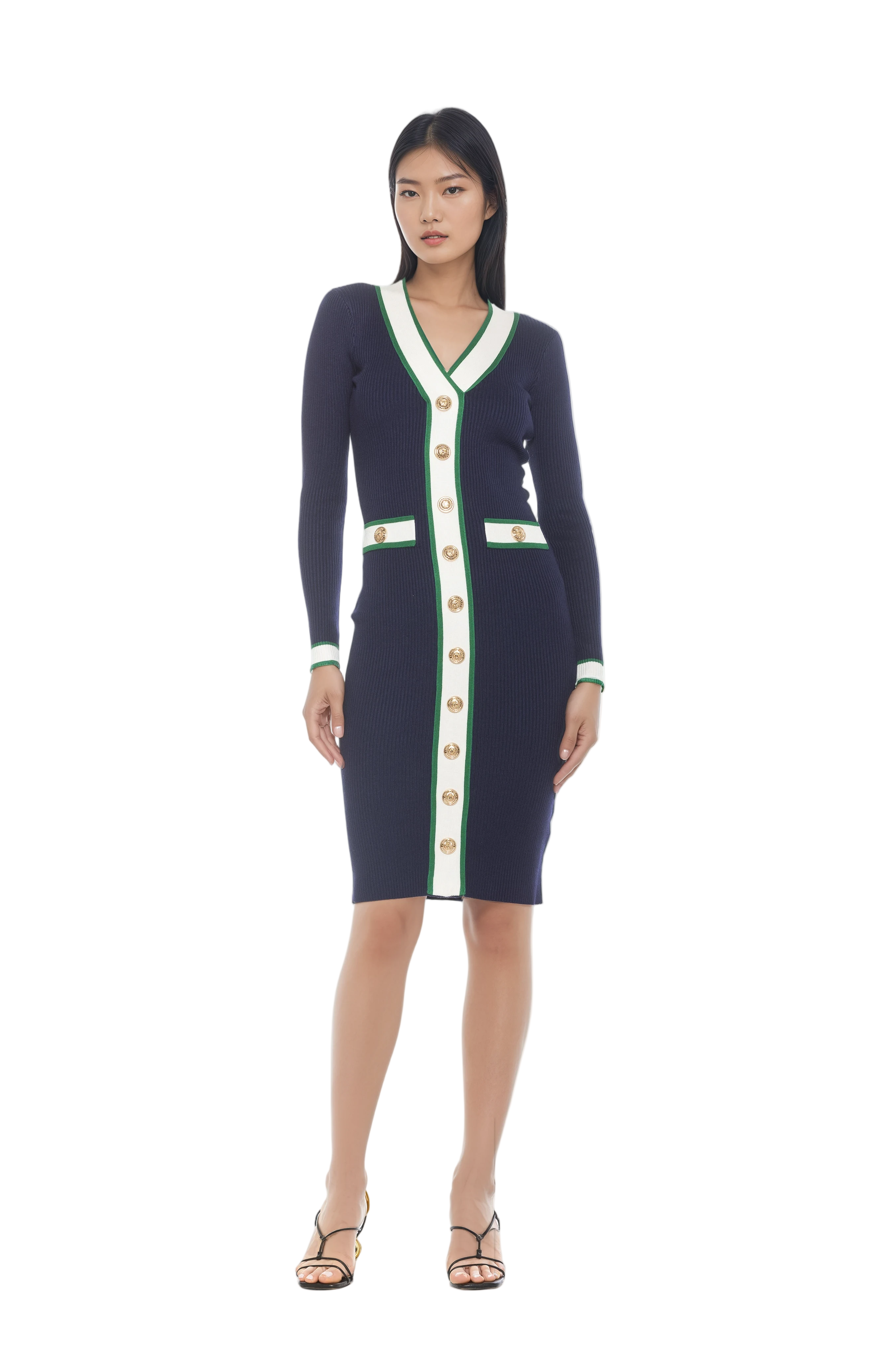 Front view navy v-neck knit dress, long sleeves, contrast ivory and green trim with gold button detailing.