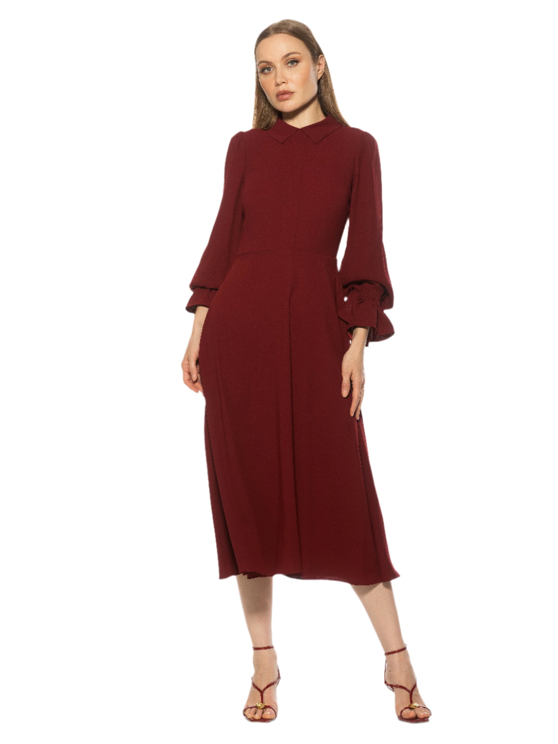 Alexia Admor Women's Lana Collared Fit And Flare Midi Dress, Burgundy, 8