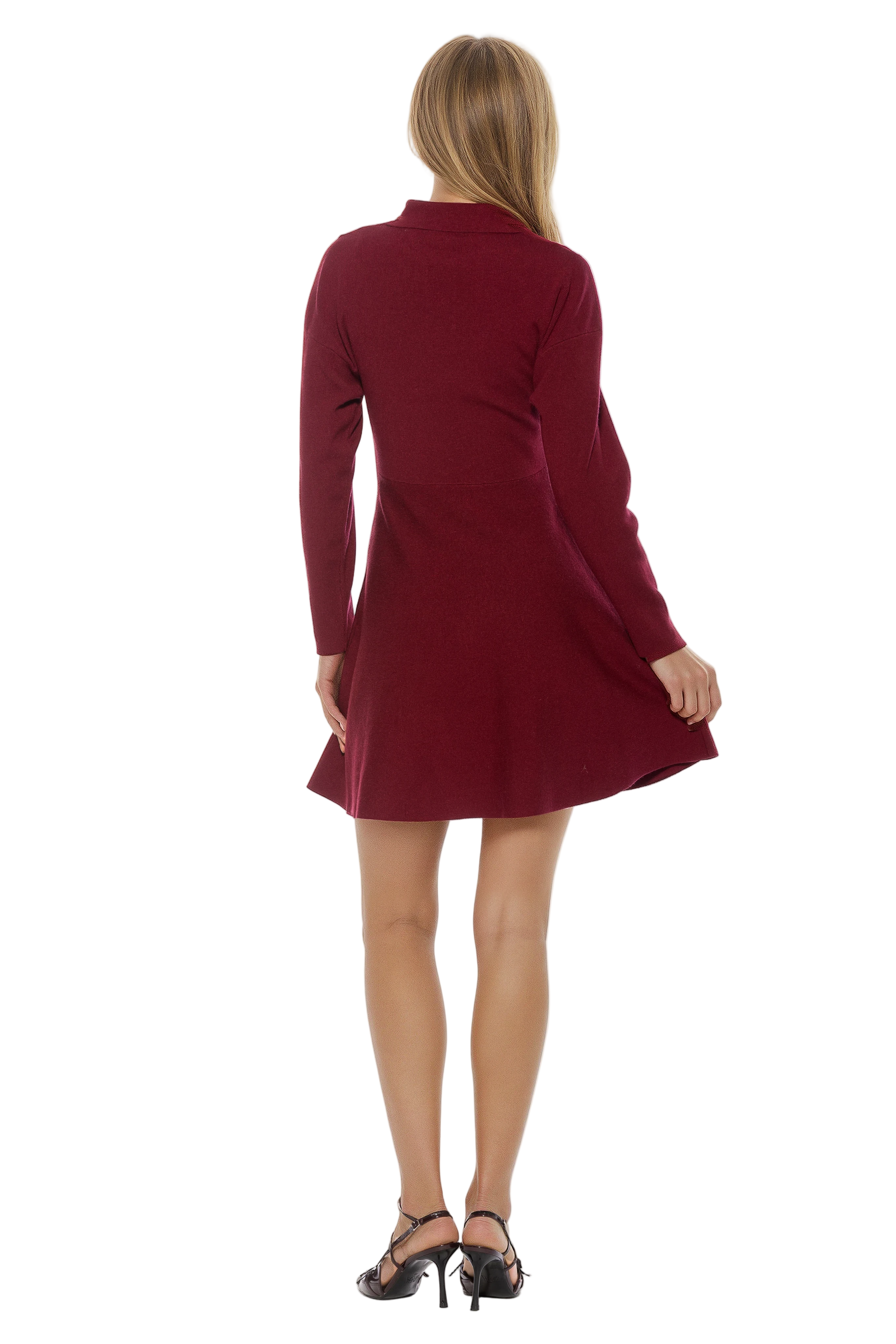 Back view burgundy fit and flare mini dress, knit, long sleeve.
