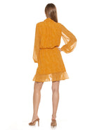 KATHLYN BLOUSON RUFFLE SKIRT MINI DRESS WITH SHEER - ALEXIA ADMOR